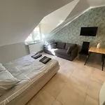 Na Wynajem W Willi Pensjonat *